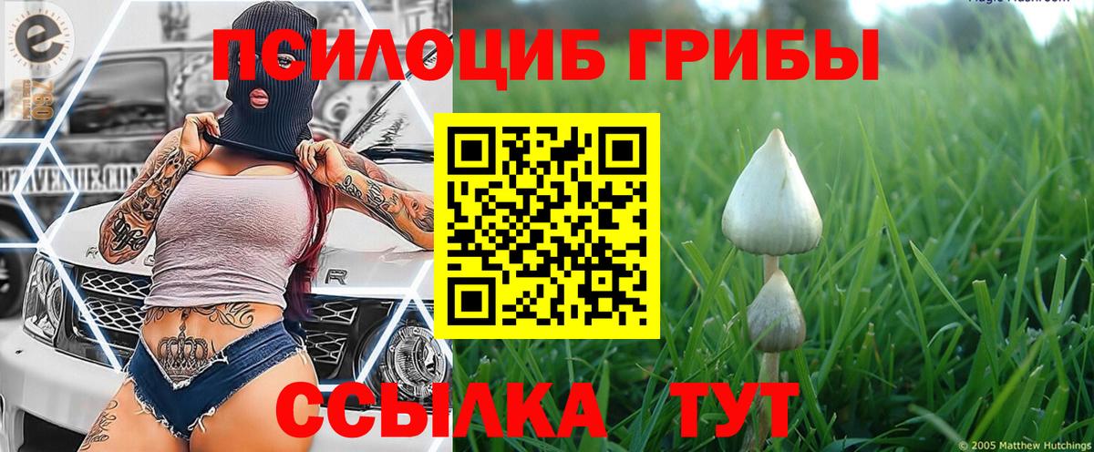 где купить наркоту  Псилоцибиновые грибы мухоморы  Вход с VPN  Галлюциногенные грибы Magic Shrooms  Долгопрудный 
